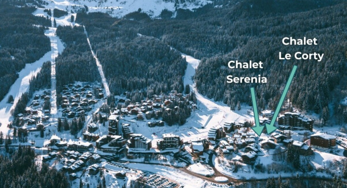 Chalet Serenia, La Tania ski chalet, image 5